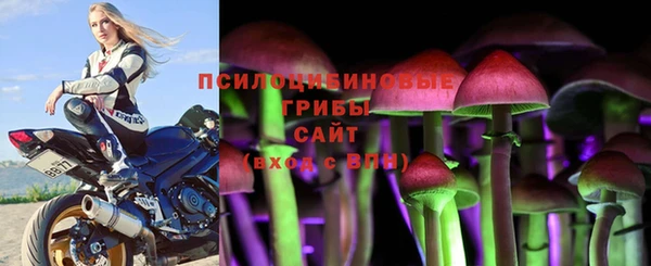 ешки Волоколамск